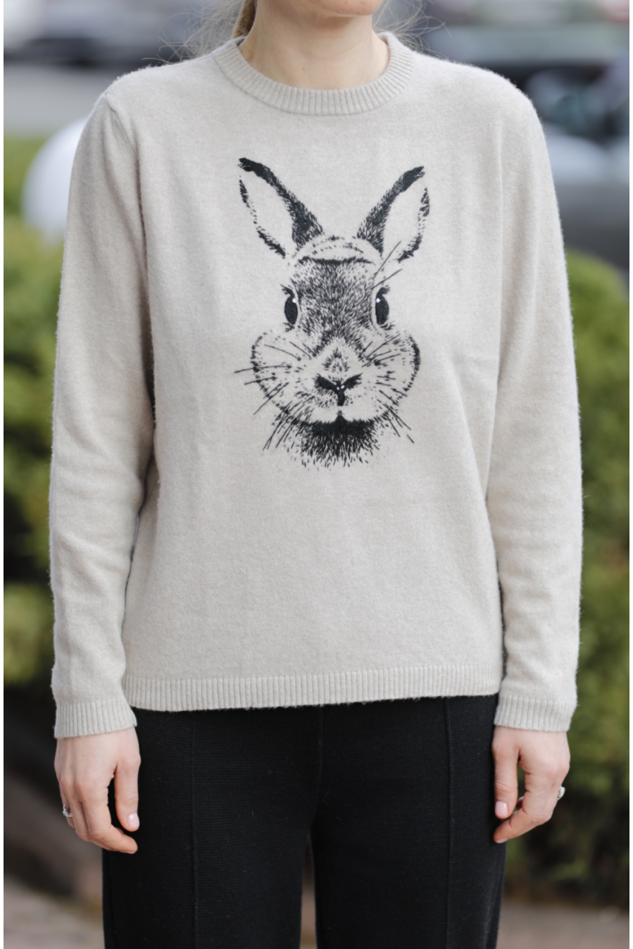 Wollpullover Wollpullover