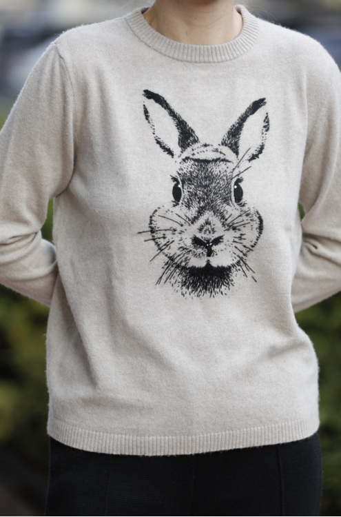 Wollpullover
