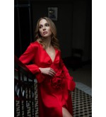 Rotes Kleid von Attire