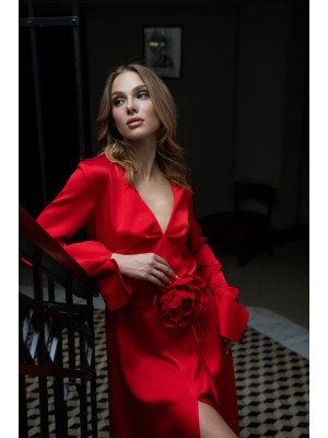 Rotes Kleid von Attire