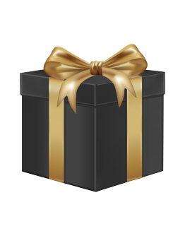 Large Box “Cat in the Bag”