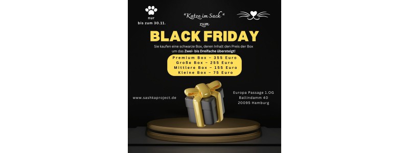Black Friday AKTION (4)